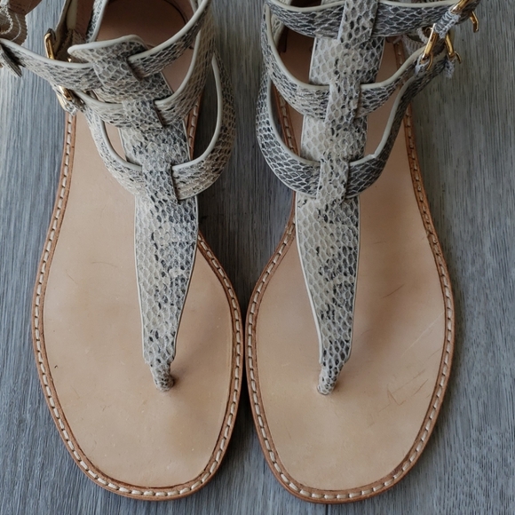 Joie Eri Snake Print Leather Gladiator Sandals - Picture 6 of 9